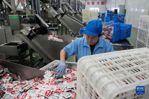 中国首次进口肯尼亚野生鳀鱼产品亮相中非经贸博览会